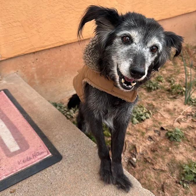 Granny Girl thumbnail 2