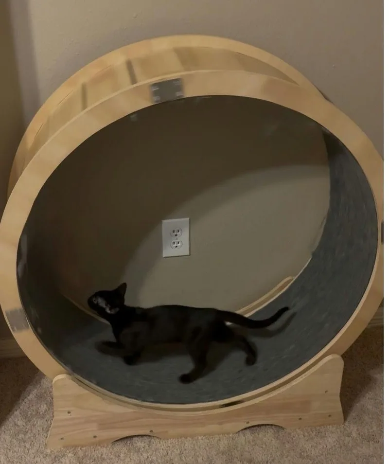 Silhouetto thumbnail 6