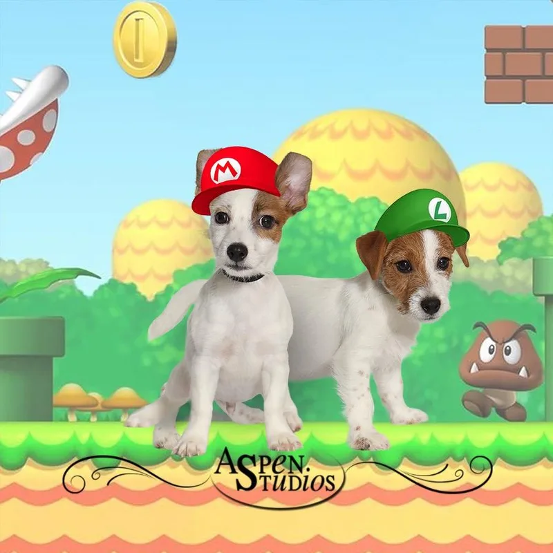 Mario