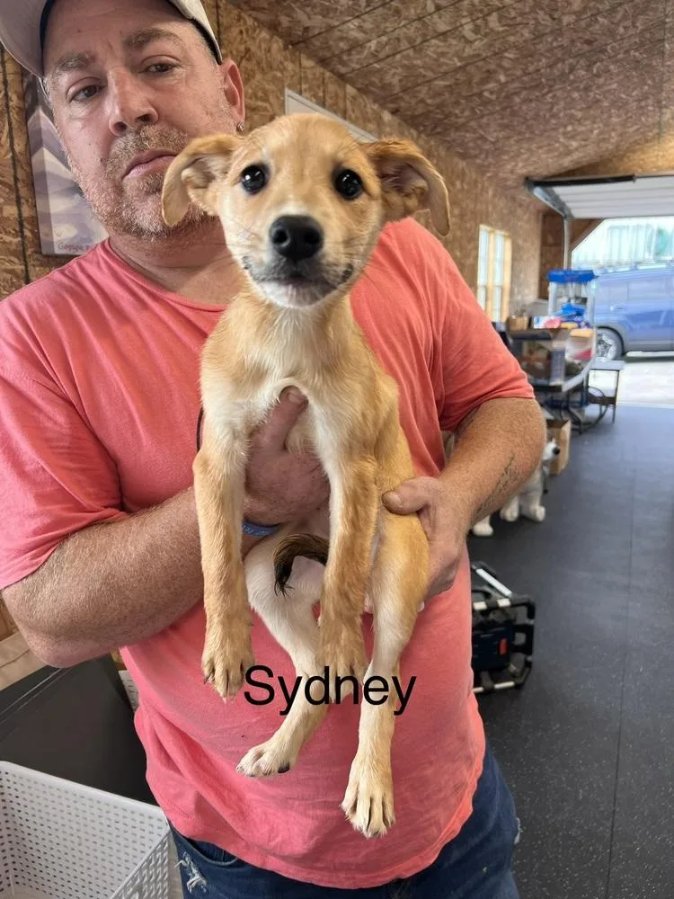 Sydney
