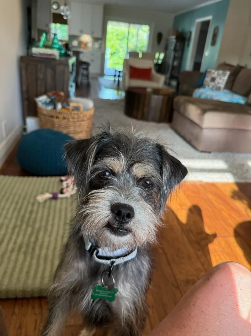 Ali