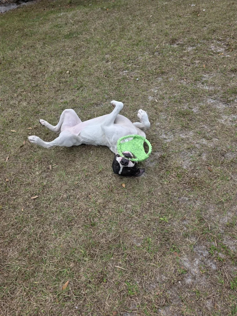 Kayla Sponsored thumbnail 4