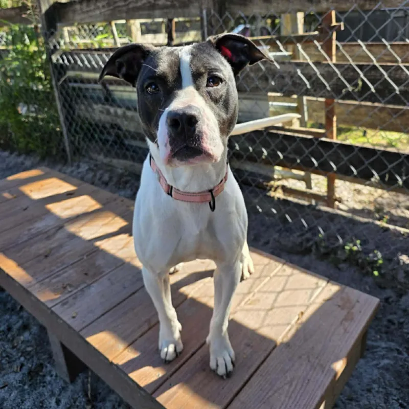 Kayla Sponsored thumbnail 5