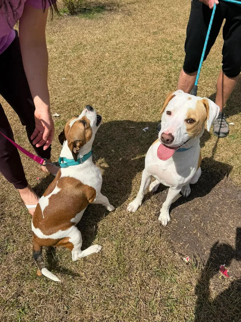 Mercedes thumbnail 2