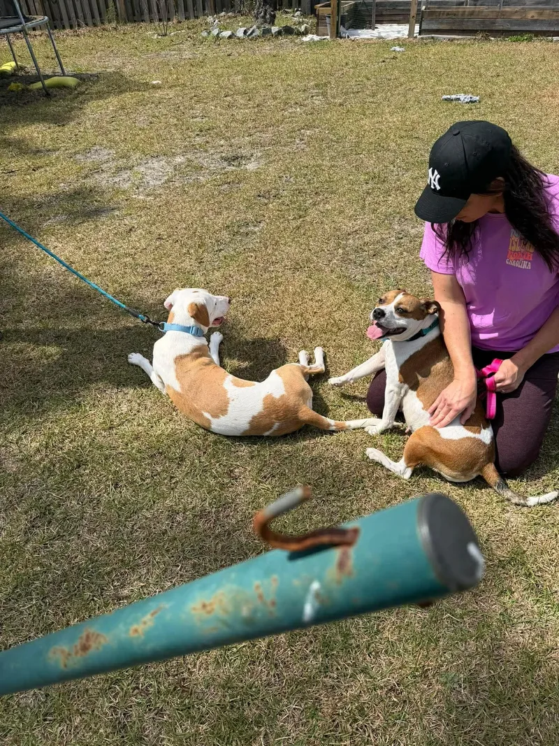 Mercedes thumbnail 3