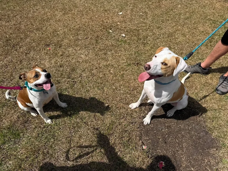 Mercedes thumbnail 4