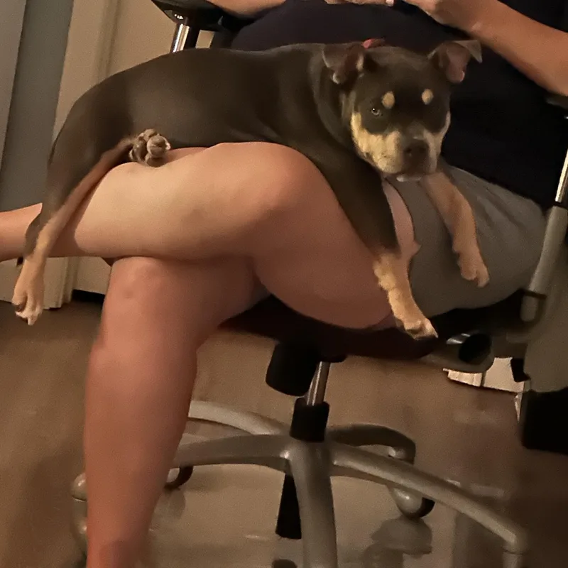 XeXe thumbnail 2