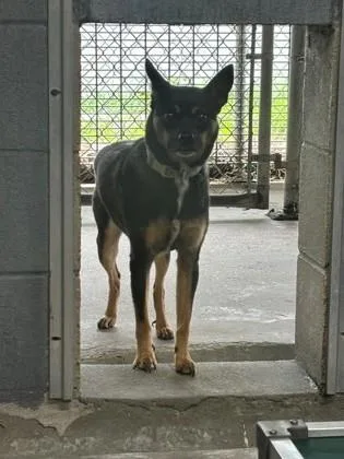 Hugo