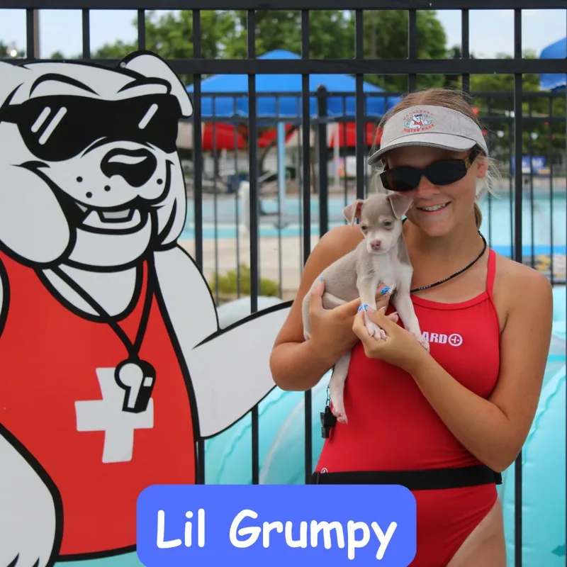 Lil Grumpy thumbnail 4