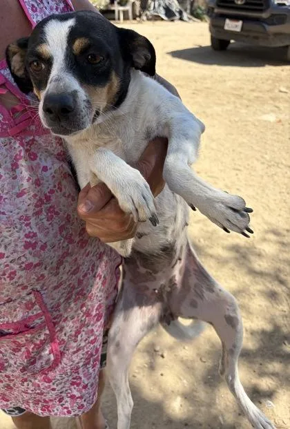 Matilda