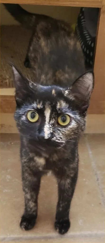 Solitude thumbnail 2