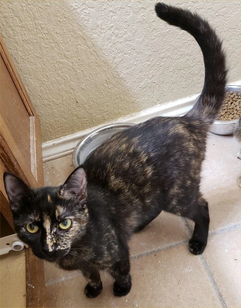 Solitude thumbnail 3