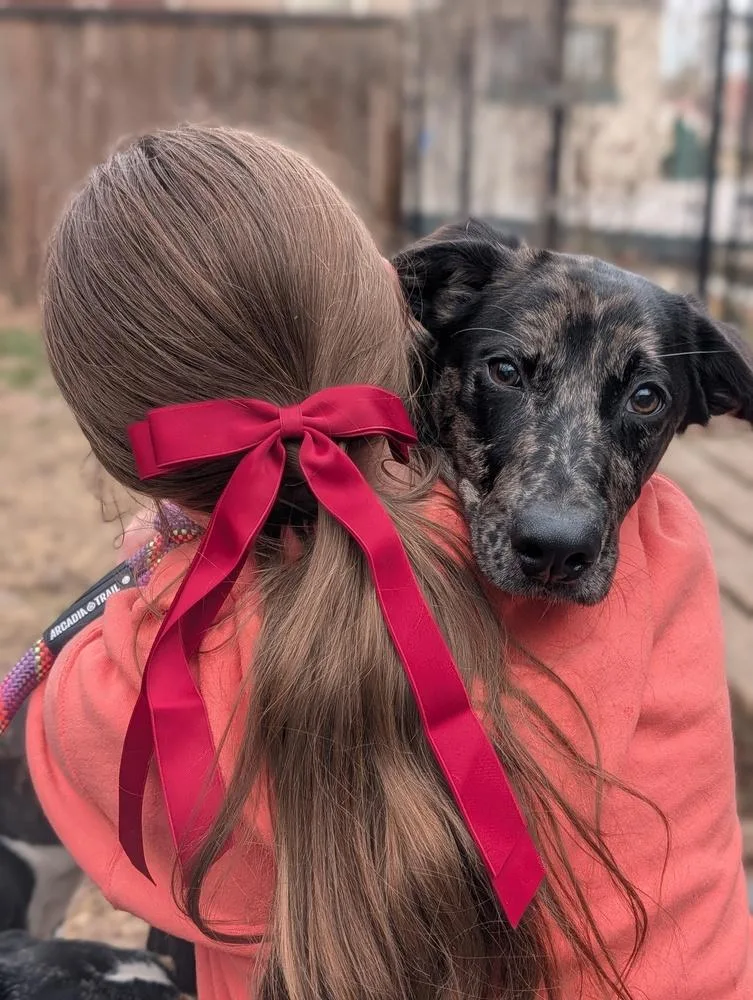 Poppy Posy thumbnail 4