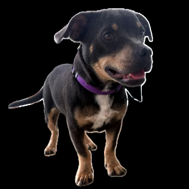 Darla thumbnail 5