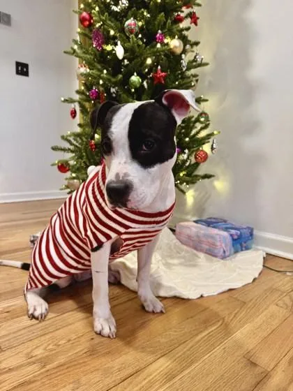 Treasure thumbnail 2