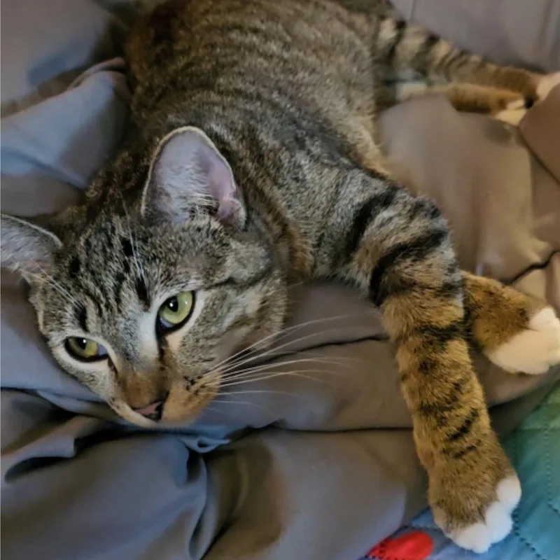 Missy thumbnail 2