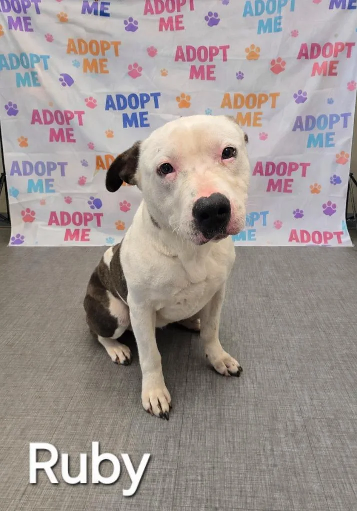 Ruby Yrly thumbnail 2