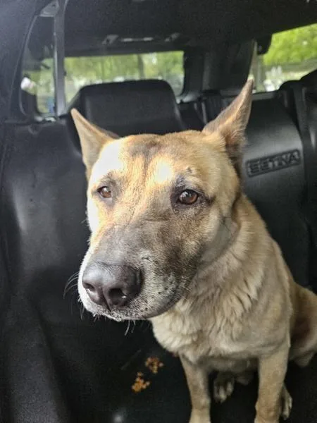 Buzz Lightyear thumbnail 2