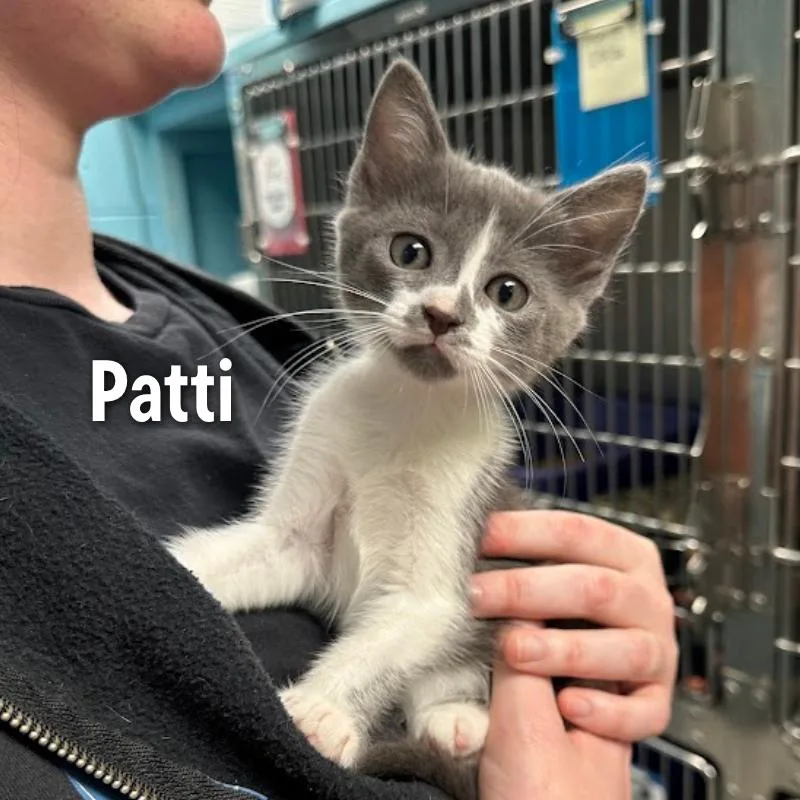 Patti thumbnail 2