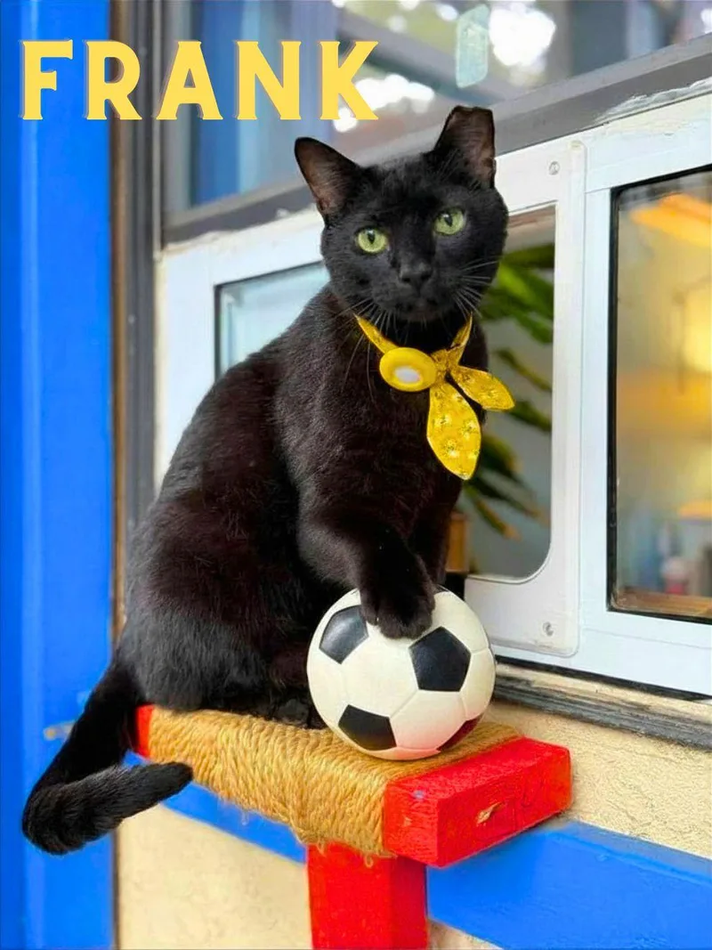 Frank