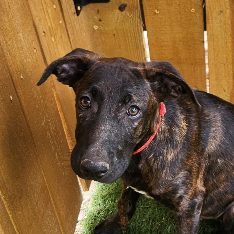 Bebe Jum thumbnail 2