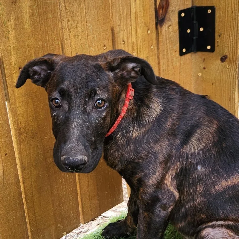 Bebe Jum thumbnail 3