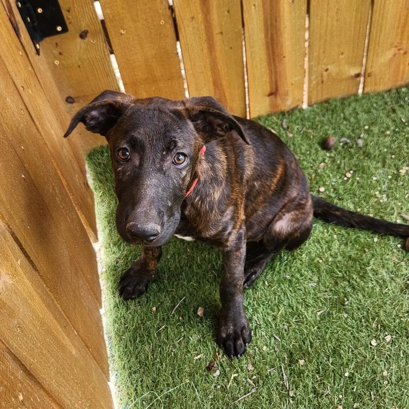 Bebe Jum thumbnail 4