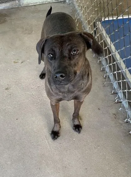 Bessiesmith thumbnail 2