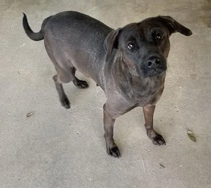 Bessiesmith thumbnail 3