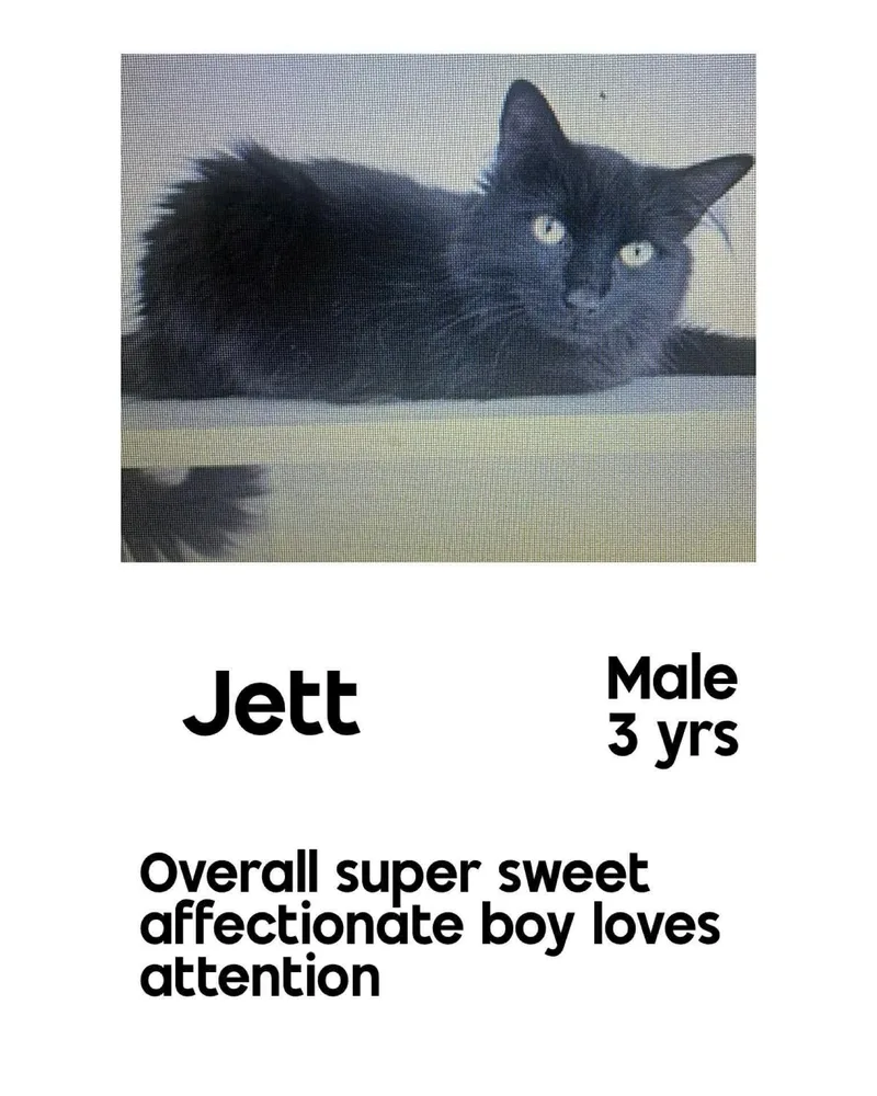 Jett