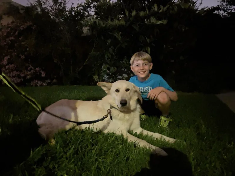 Cheddar thumbnail 3