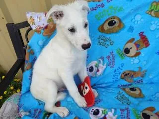 Heidi's Hunter thumbnail 4