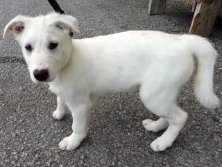 Heidi's Hunter thumbnail 5