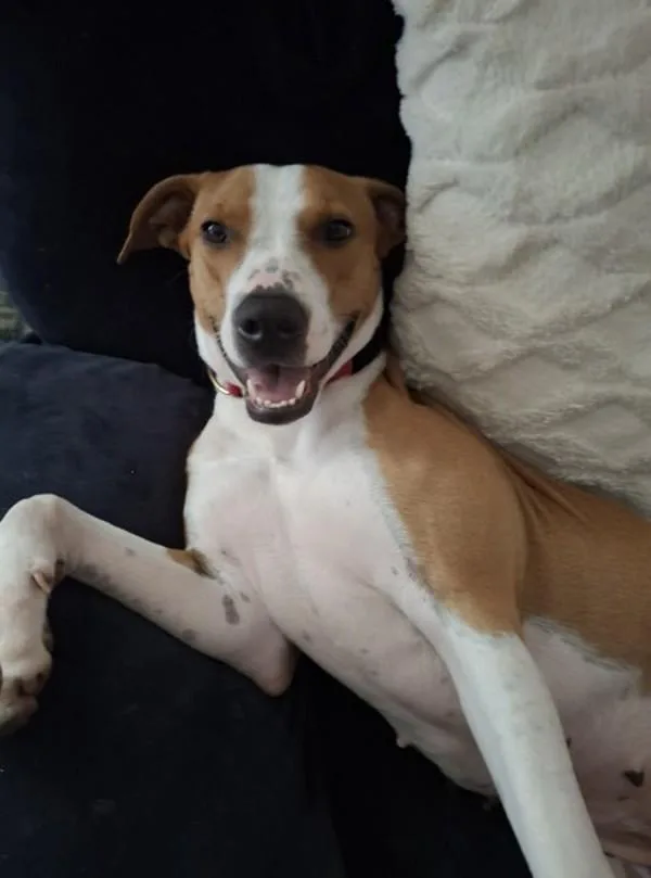 Maxine thumbnail 2