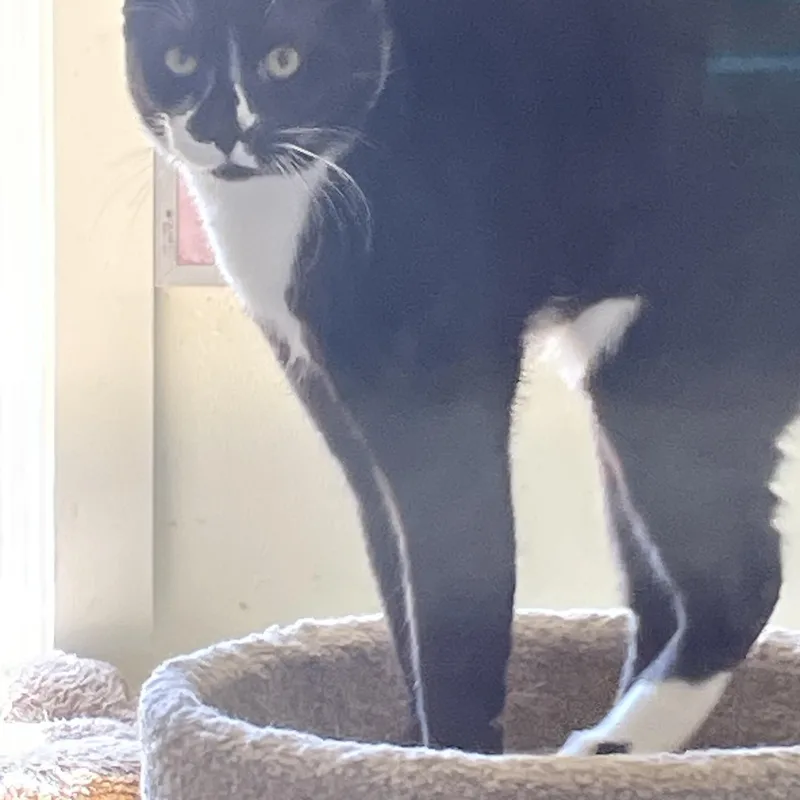 Phantom And Hunter thumbnail 2