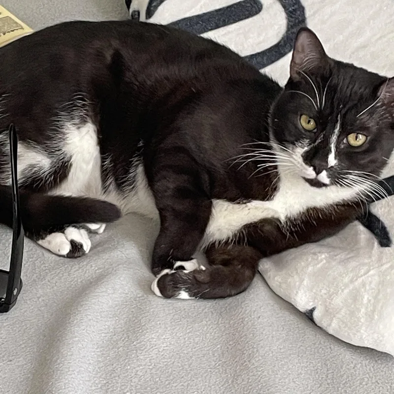 Phantom And Hunter thumbnail 3