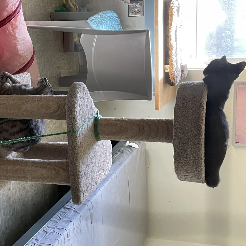 Phantom And Hunter thumbnail 4