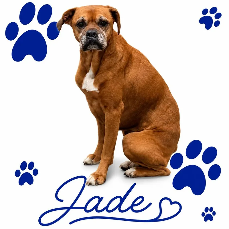Jade thumbnail 2