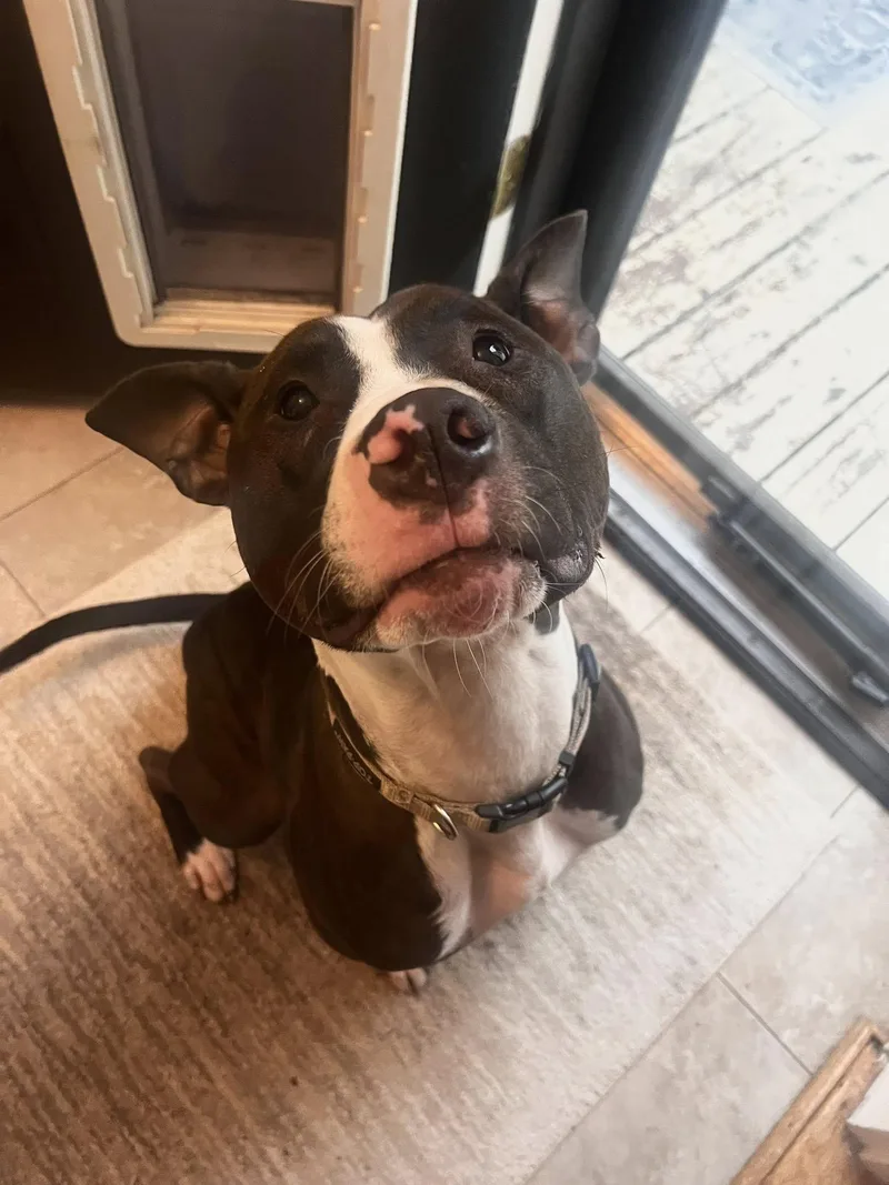 Winnie