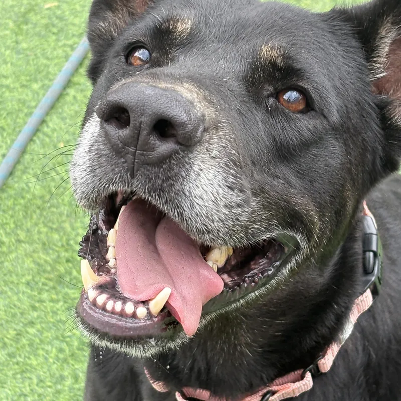 Baby Boy  The thumbnail 3