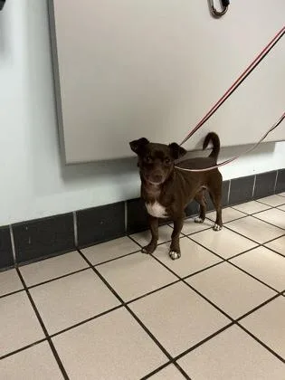 Buddy thumbnail 3