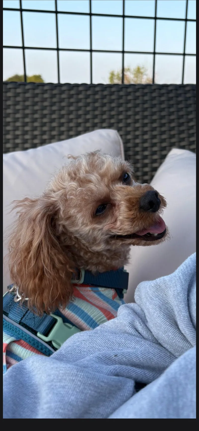 Tucker