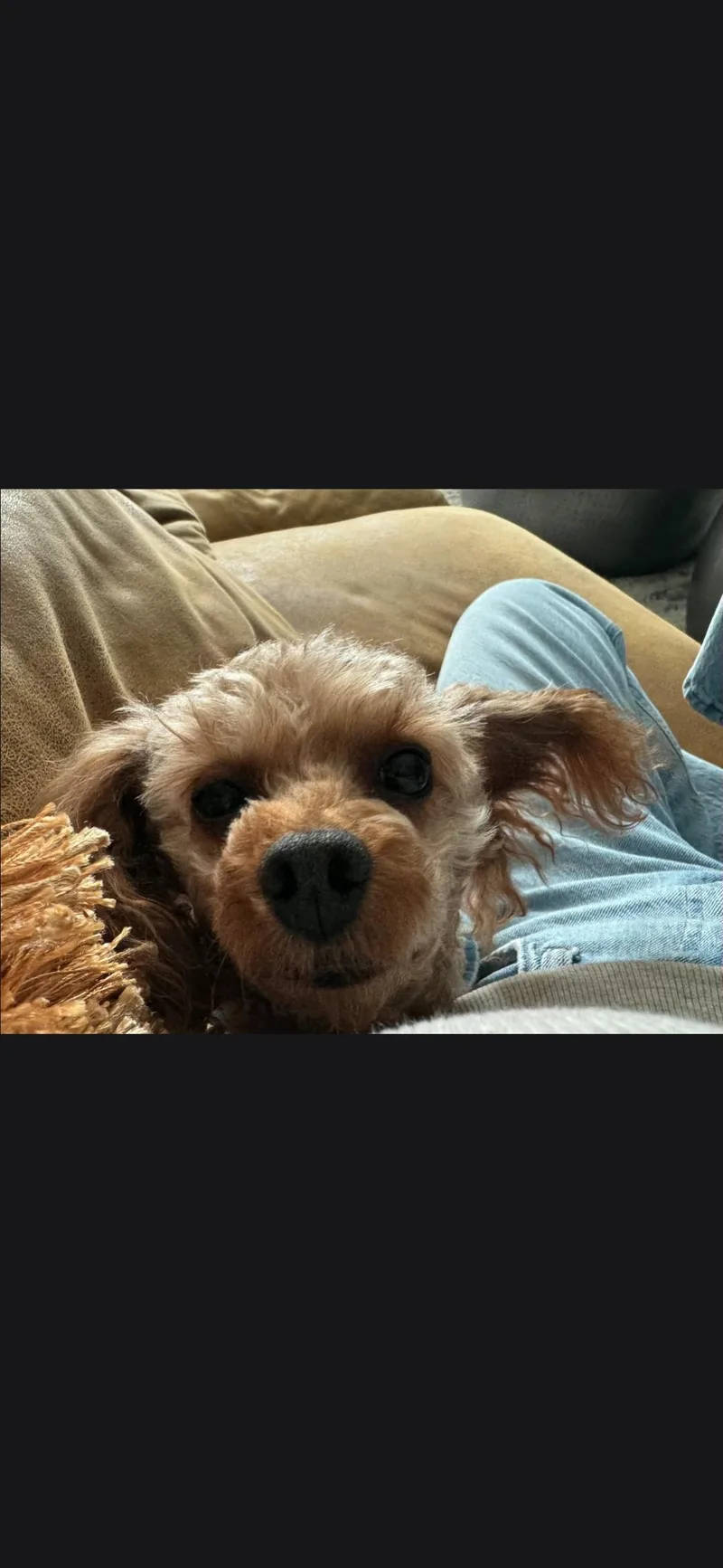Tucker thumbnail 5