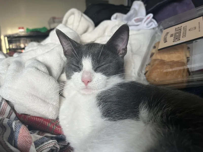 Bonnie Aka Bonnie Blue thumbnail 2