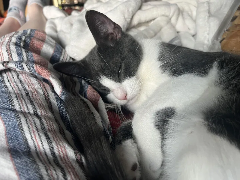 Bonnie Aka Bonnie Blue thumbnail 3