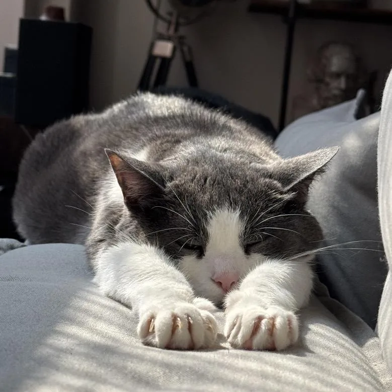 Honduras thumbnail 2