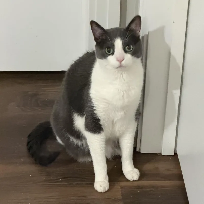 Honduras thumbnail 3