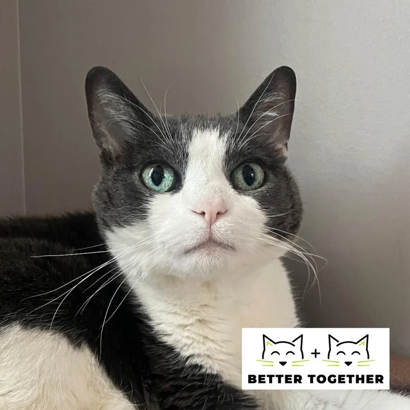 Honduras thumbnail 4