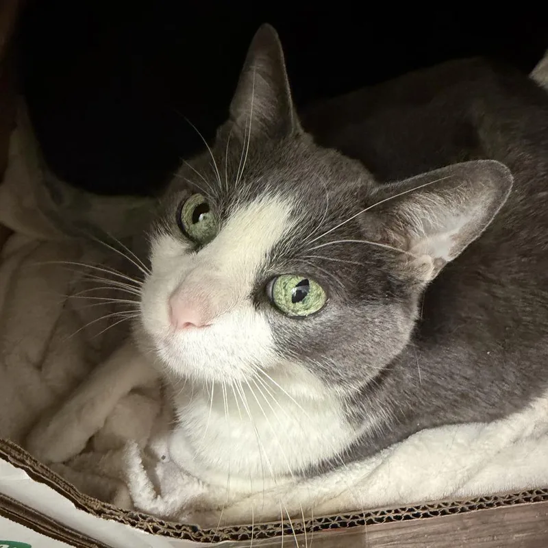 Honduras thumbnail 5