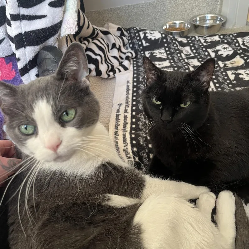 Honduras thumbnail 6